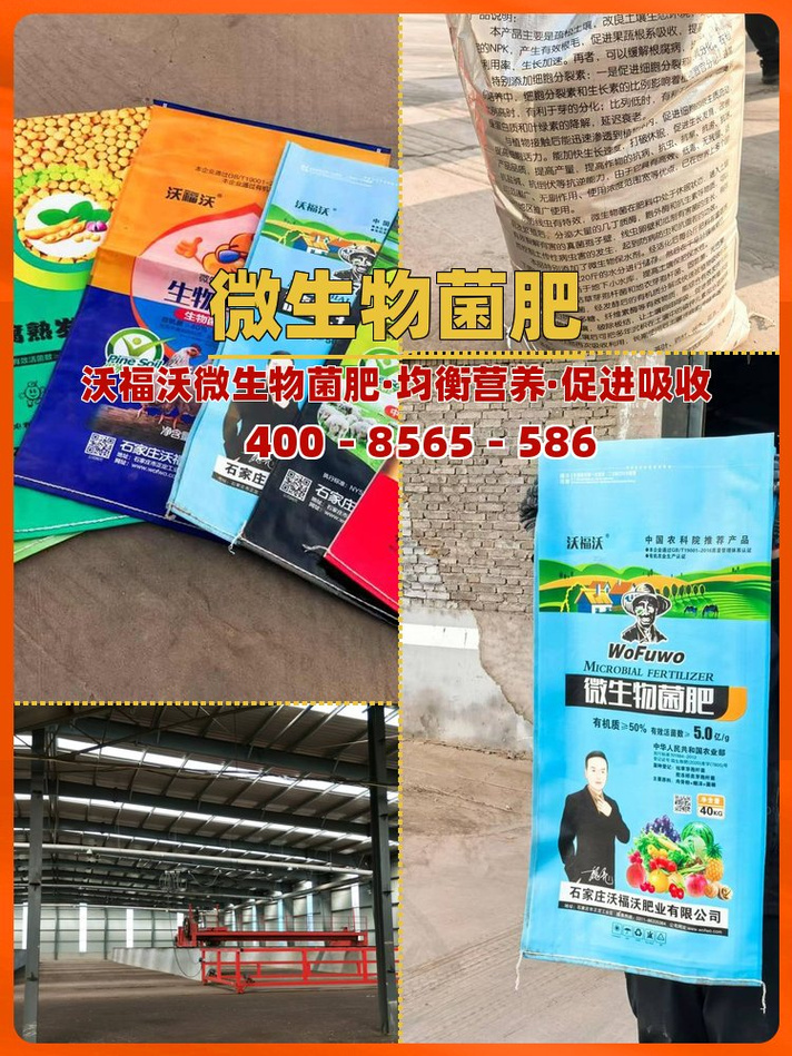 生物有机肥小白在抖音做信息咨询服务的避坑指南 从0到1的实操复盘