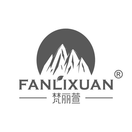 梵丽萱（广州）信息咨询服务 赋能企业决策的专业力量